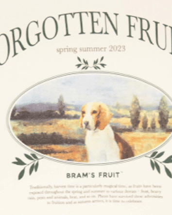 Bram's Fruit Forgotten Fruits Beagle Tee