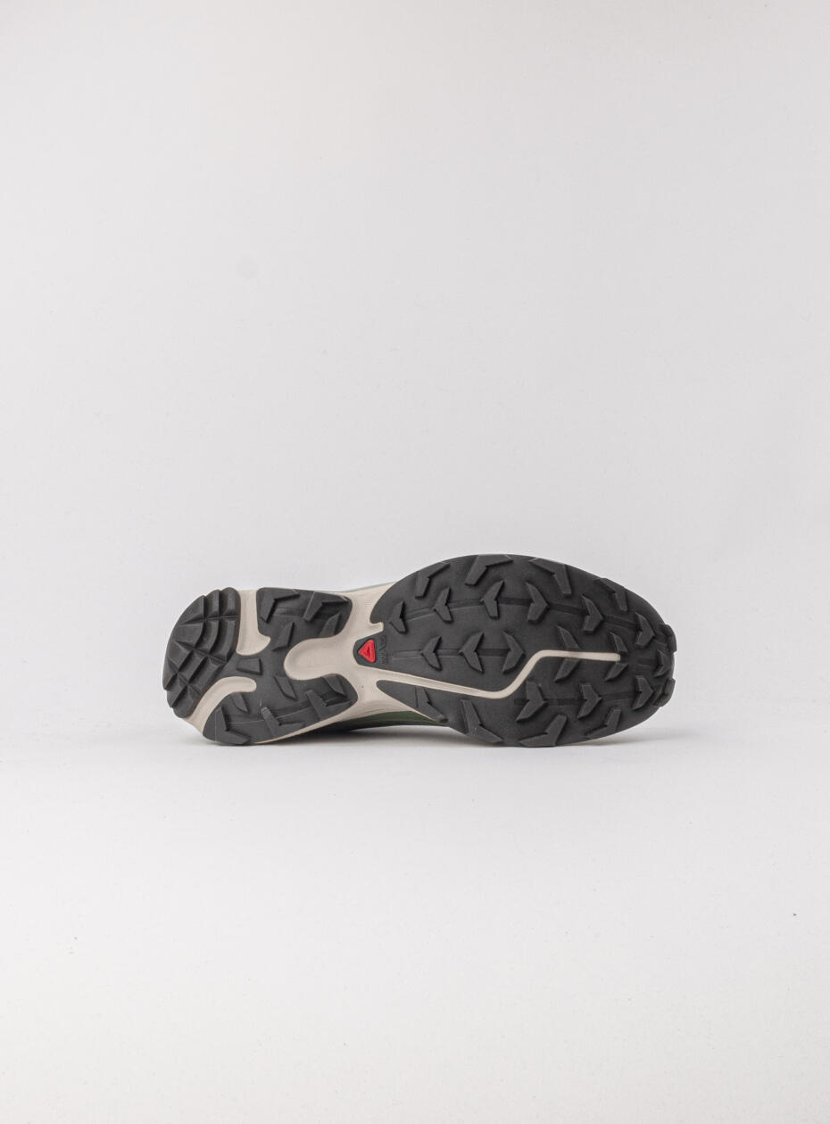 Salomon XT-6