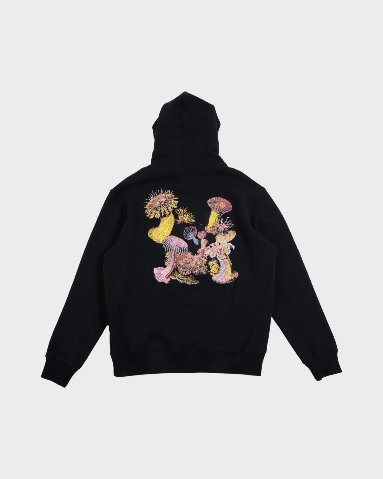 New Amsterdam Surf Association Anemone Hoodie