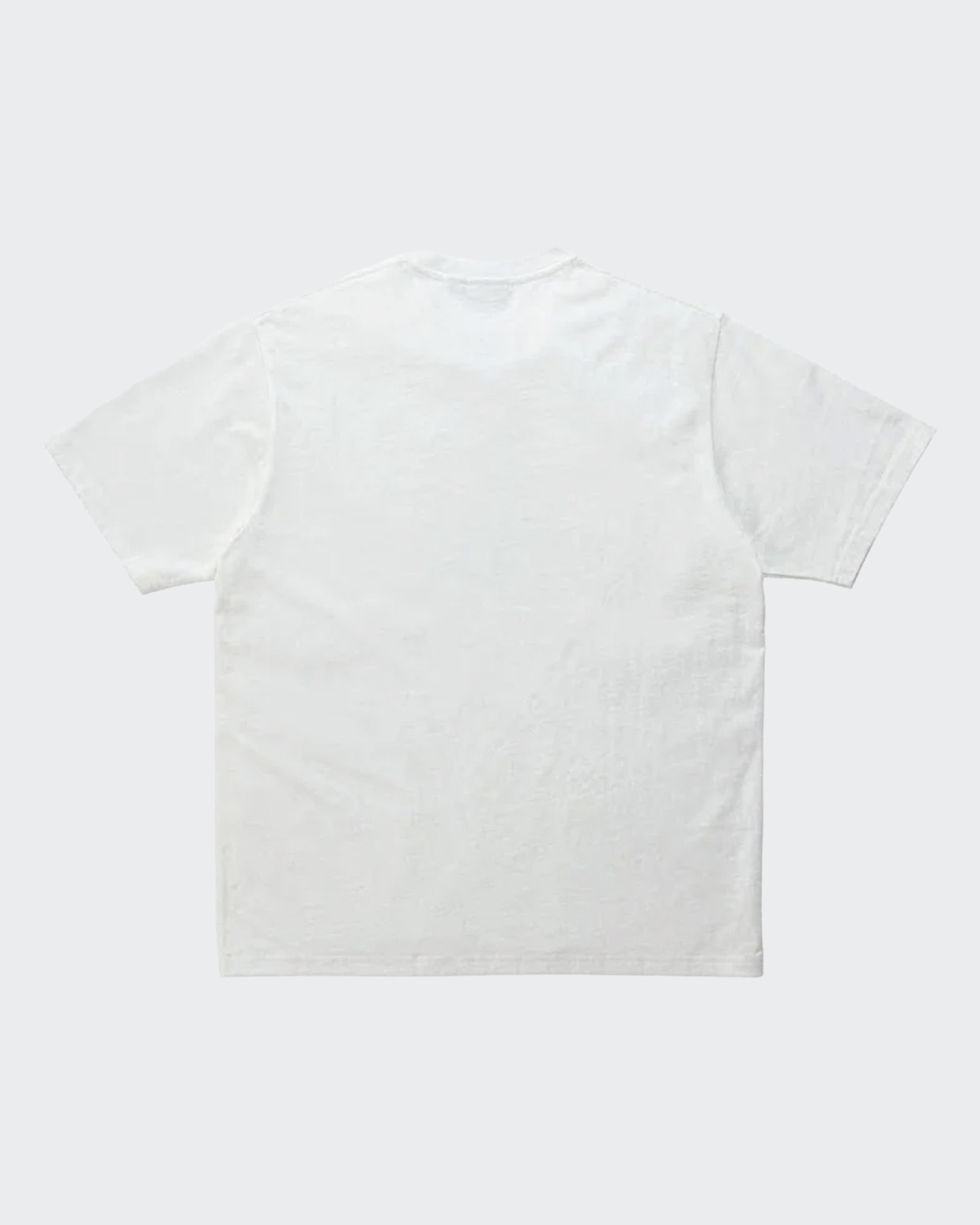 Gramicci G-Blur Tee
