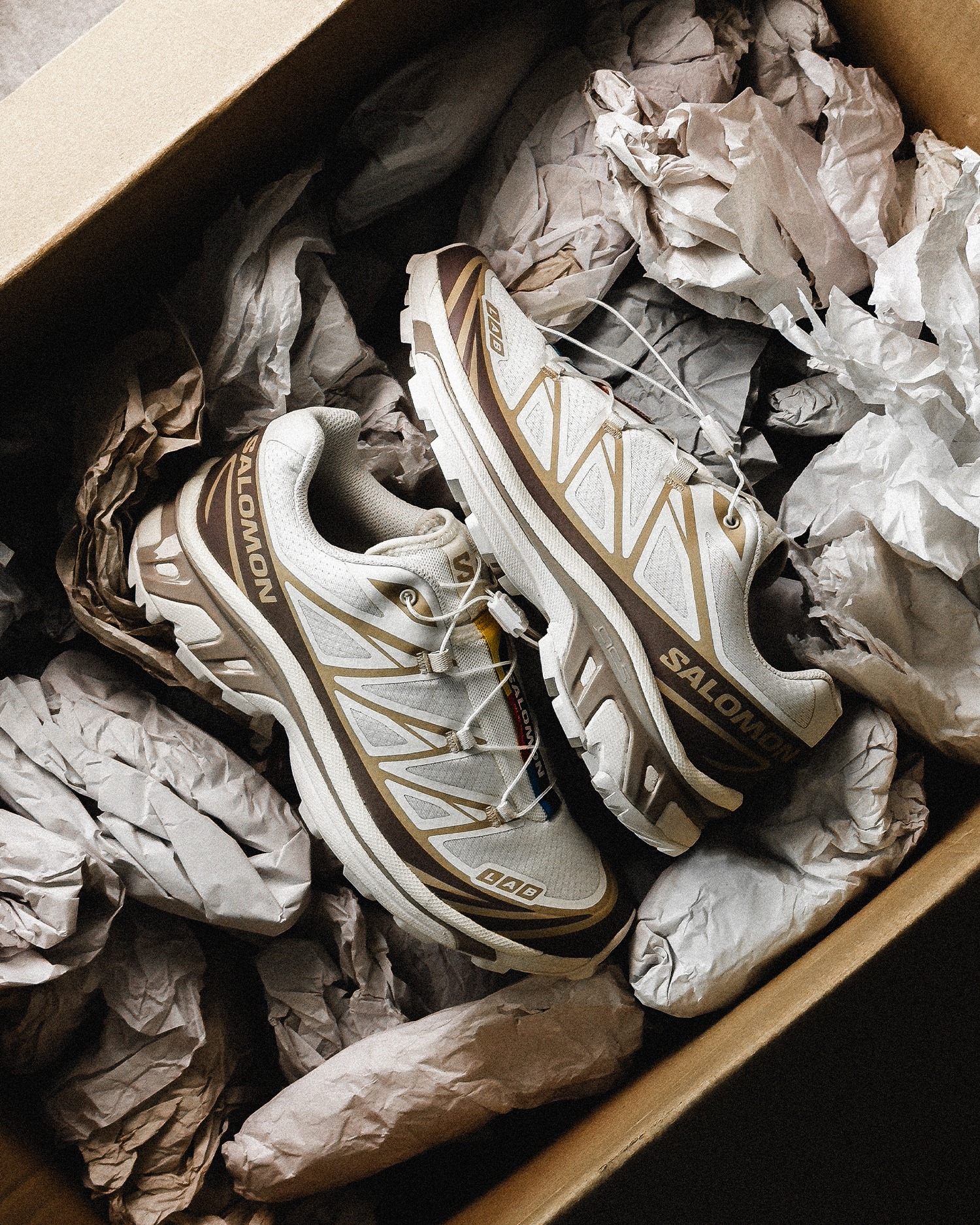 salomon xt6 earth fp