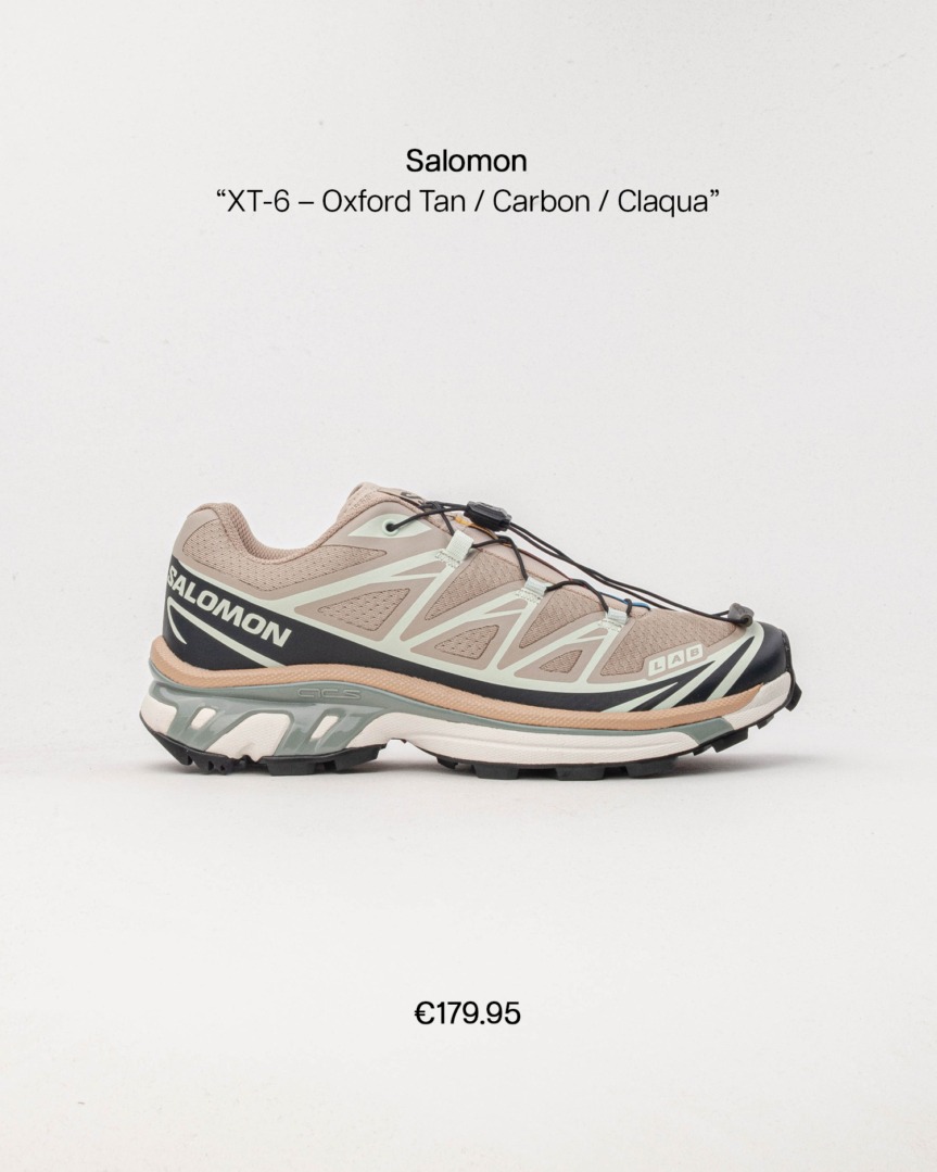 salomon xt6 earth fp02