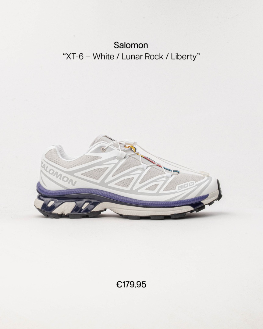 salomon xt6 earth fp03