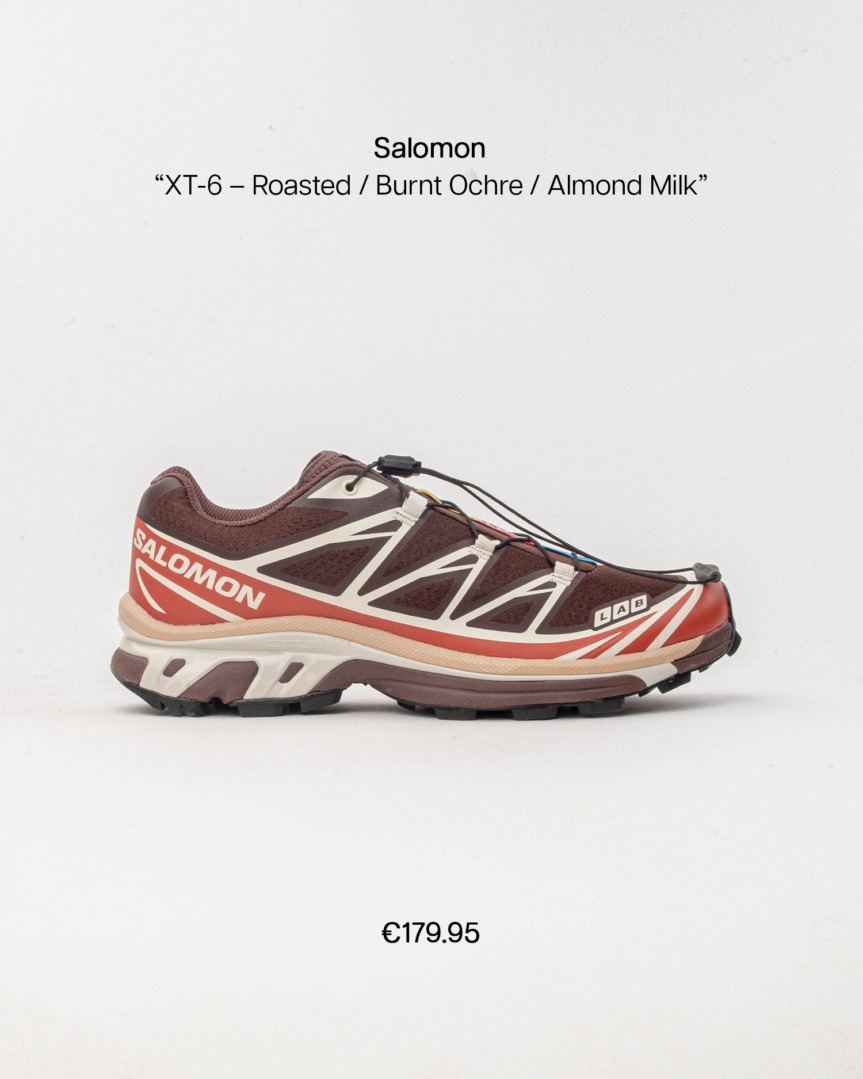 salomon xt6 earth fp04