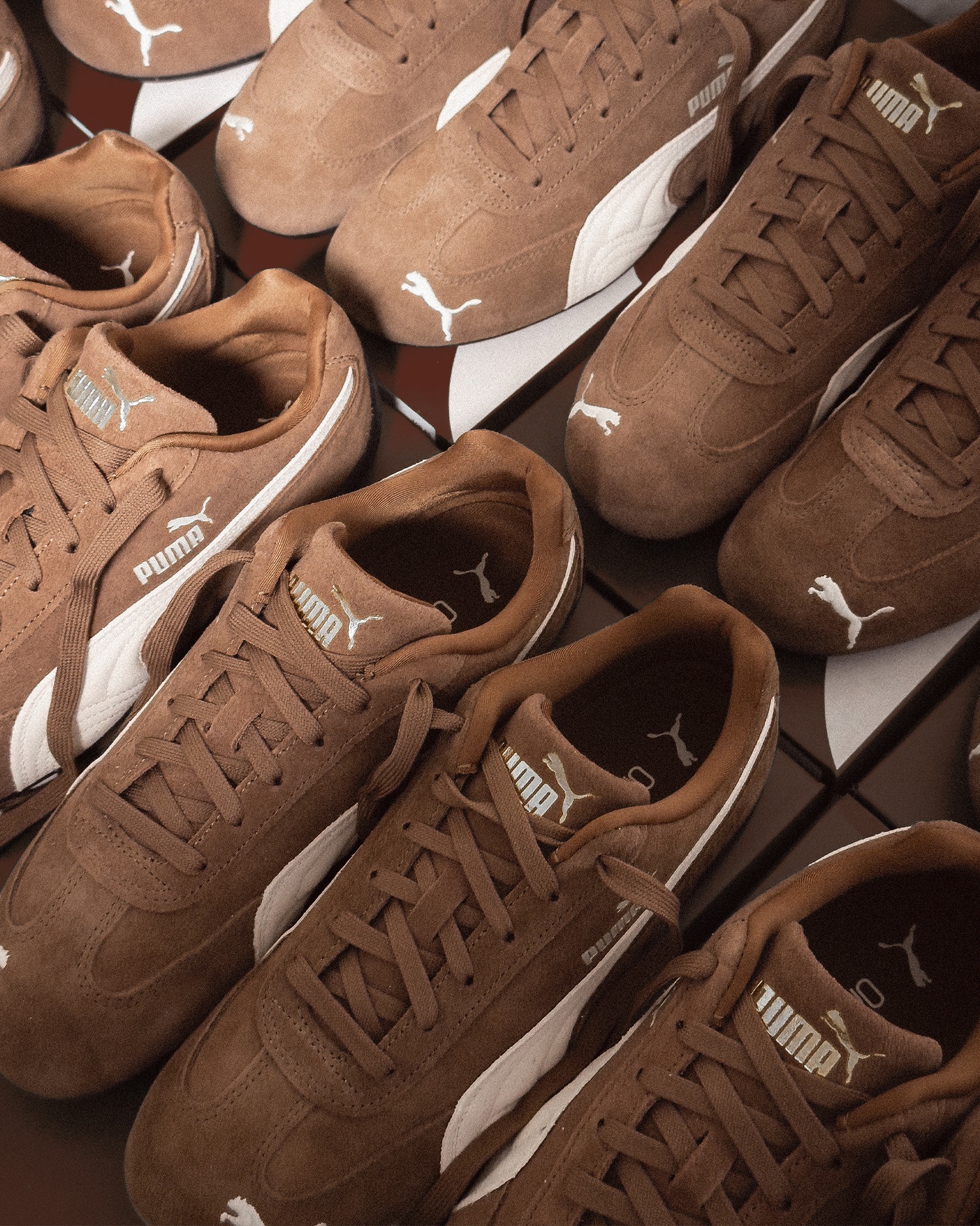 puma brown fp