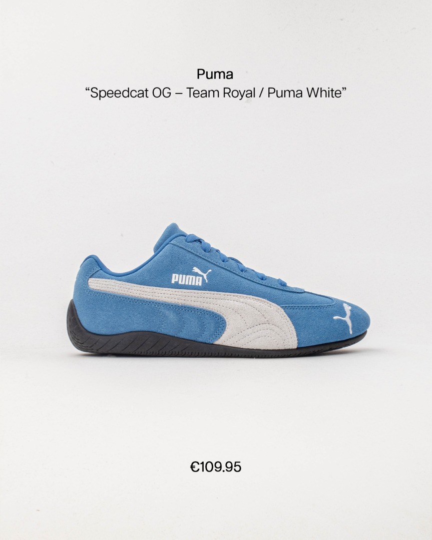 puma brown fp04