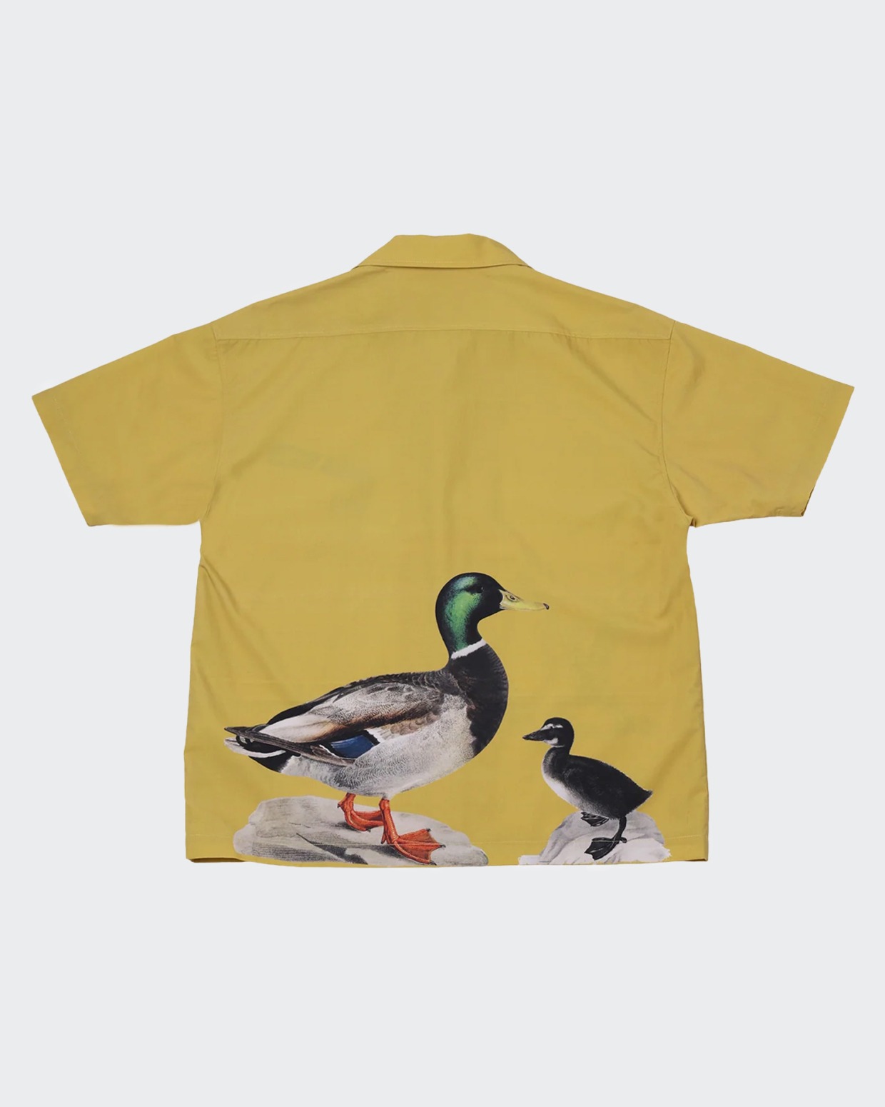 Sabbatical Ducks Shirt