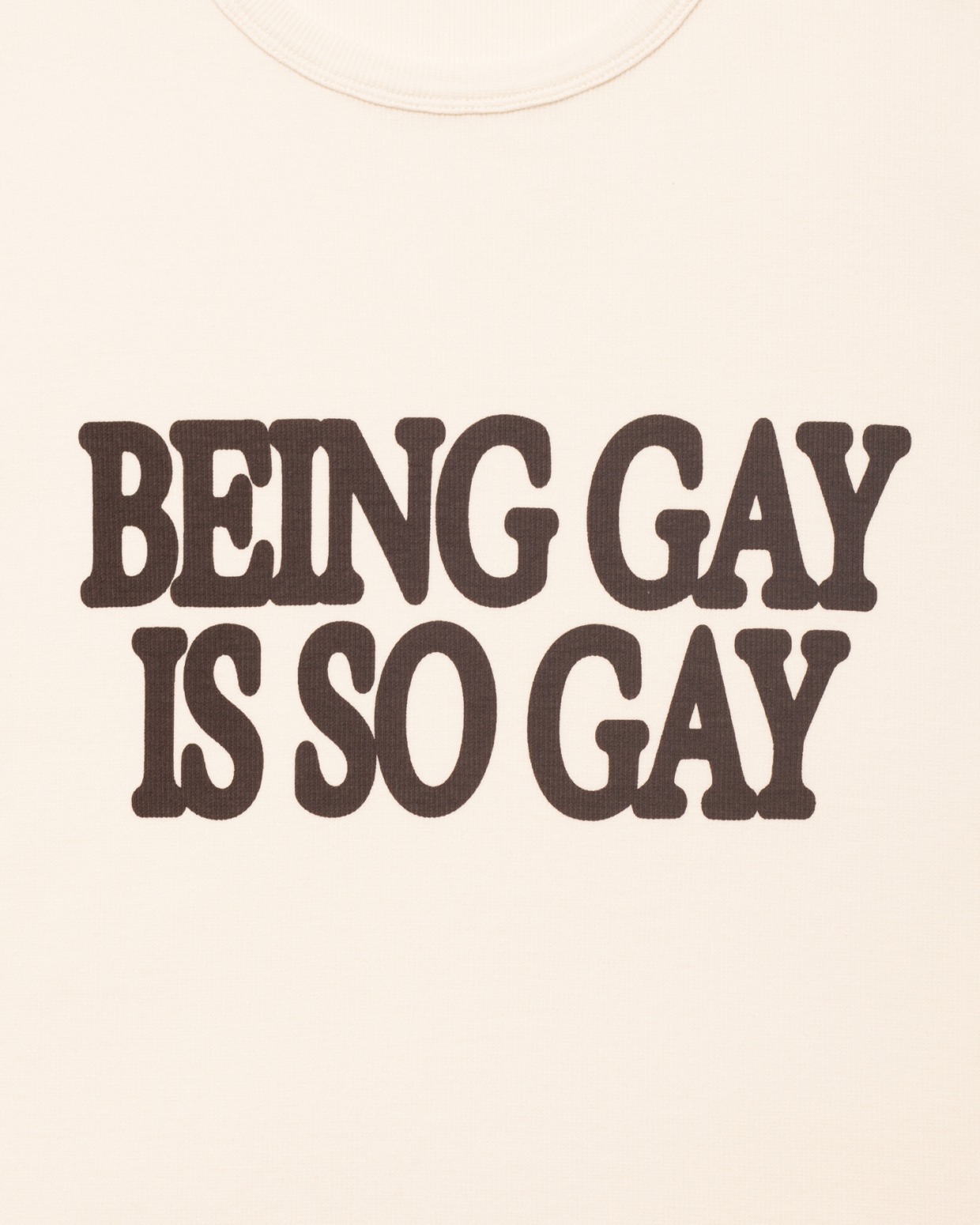 Carne Bollente Being Gay Is So Gay Tee