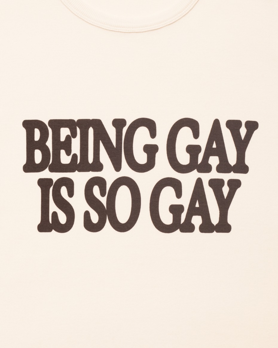 Carne Bollente Being Gay Is So Gay Tee