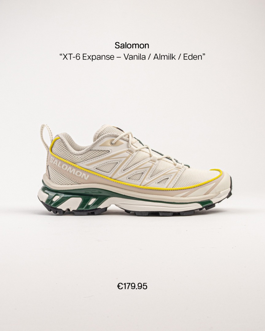 salomon xt6 shadow fp03
