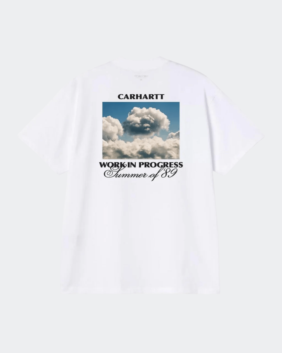 Carhartt WIP S/S Warm Views T-Shirt