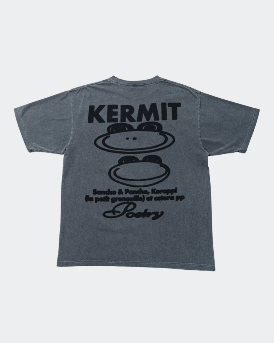 Public Possession Poetry T-Shirt