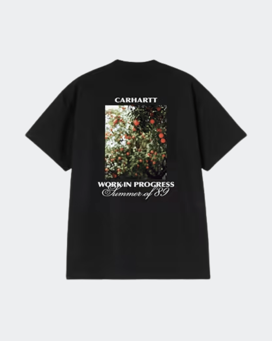 Carhartt WIP S/S Warm Views T-Shirt